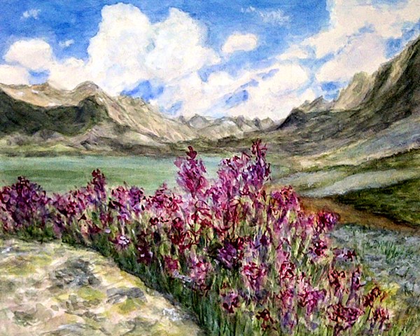 Titcomb Basin, Wyoming